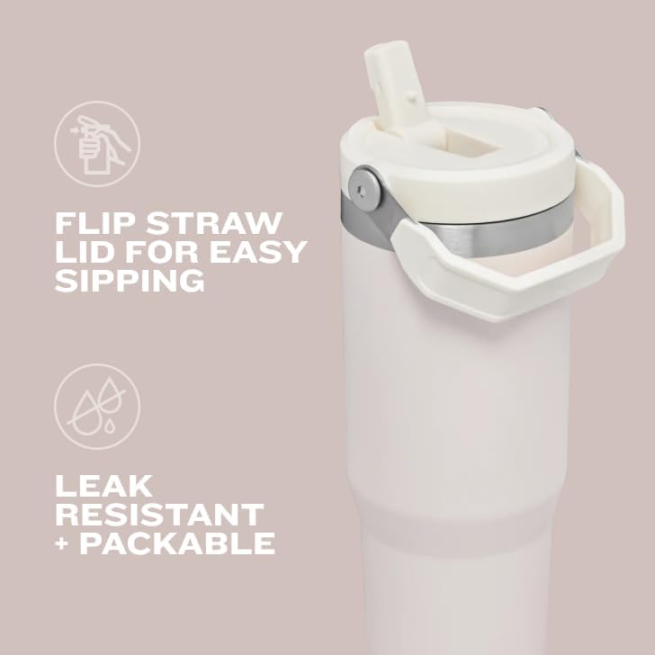 Stanley IceFlow Flip Straw Tumbler with Handle 20 oz | Twist On Lid and Flip Up Straw | Leak Resistant Water Bottle | Insulated Stainless Steel |BPA-Free | Tigerlily