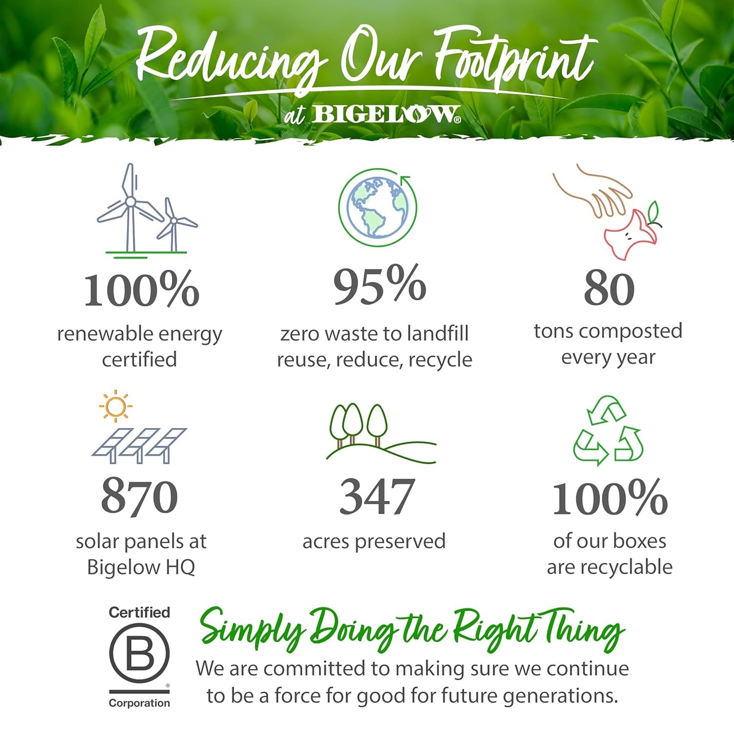 Bigelow Tea Cranberry Harvest Herbal Tea, Caffeine Free Tea with Cranberry and Spice, Holiday and Christmas Tea, 18 Count Box (Pack Of 6), 108 Total Tea Bags