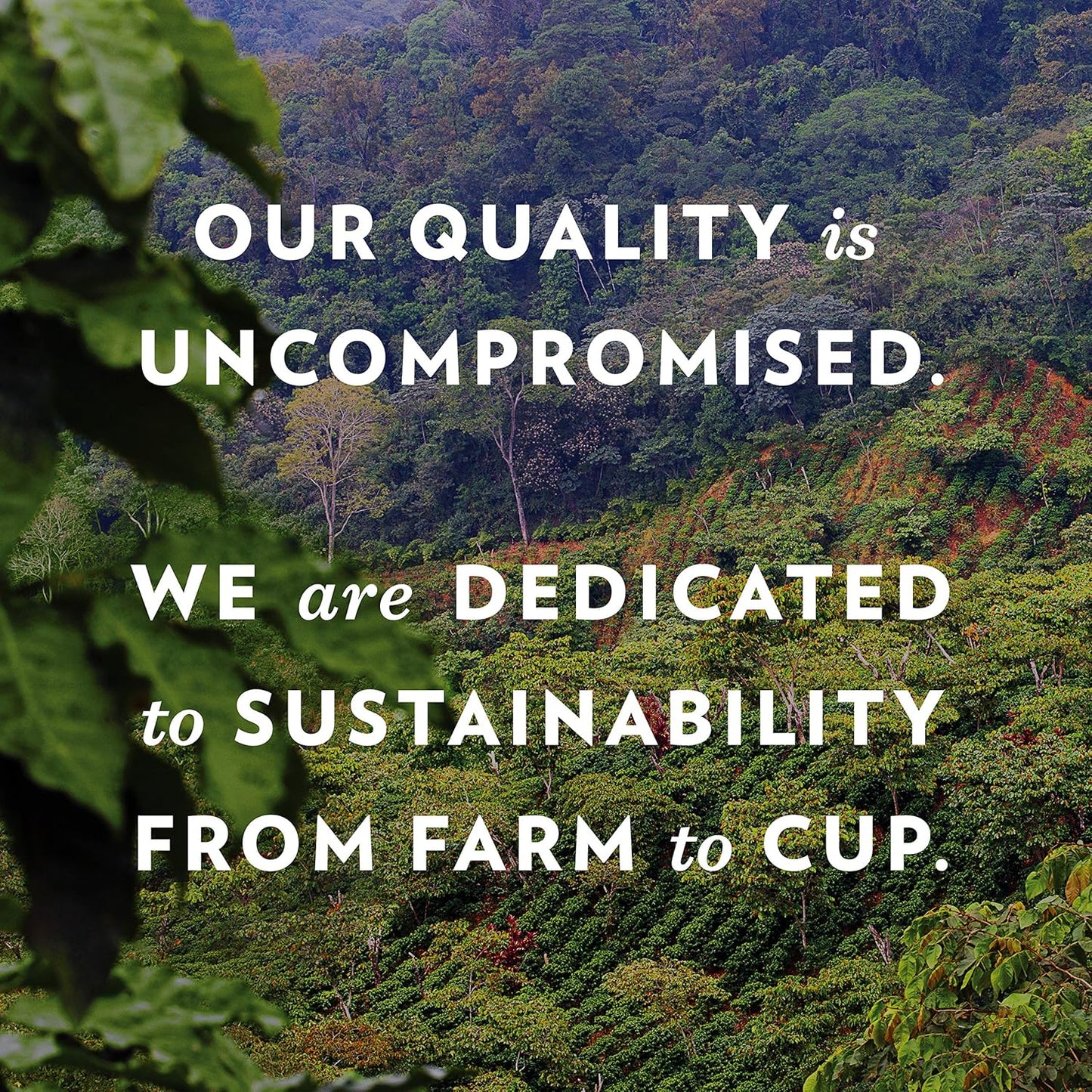 Community Coffee Mardi Gras King Cake Flavored Medium Roast Ground Coffee, 32 Ounce Bag (Pack Of 4)