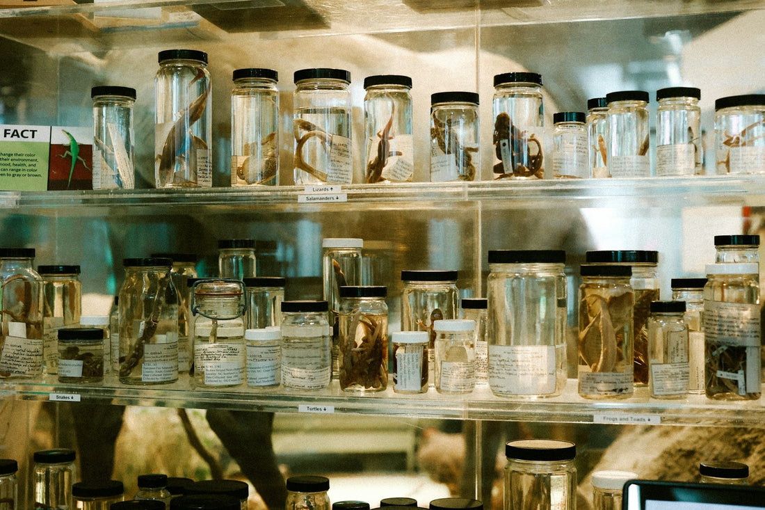 Small Changes, Big Impact: How to Refresh Your Kitchen Instantly