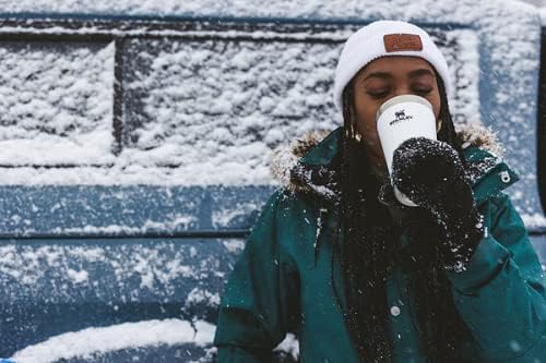 STANLEY Stay-Chill Beer Pint 16 oz | Wide Mouth Lid | Built-In Bottle Opener | Beer Tumbler Cup | Insulated Stainless Steel Pint Glass | BPA-Free | Polar