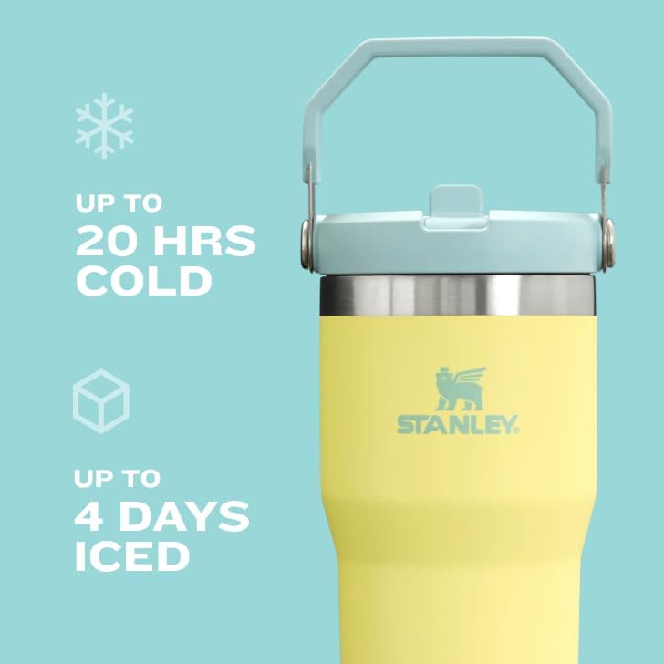 Stanley IceFlow Flip Straw Tumbler with Handle 20 oz | Twist On Lid and Flip Up Straw | Leak Resistant Water Bottle | Insulated Stainless Steel |BPA-Free | Citron