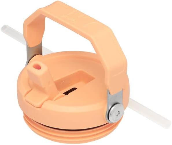 Stanley IceFlow Flip Straw Tumbler with Handle 20 oz | Twist On Lid and Flip Up Straw | Leak Resistant Water Bottle | Insulated Stainless Steel |BPA-Free | Tigerlily