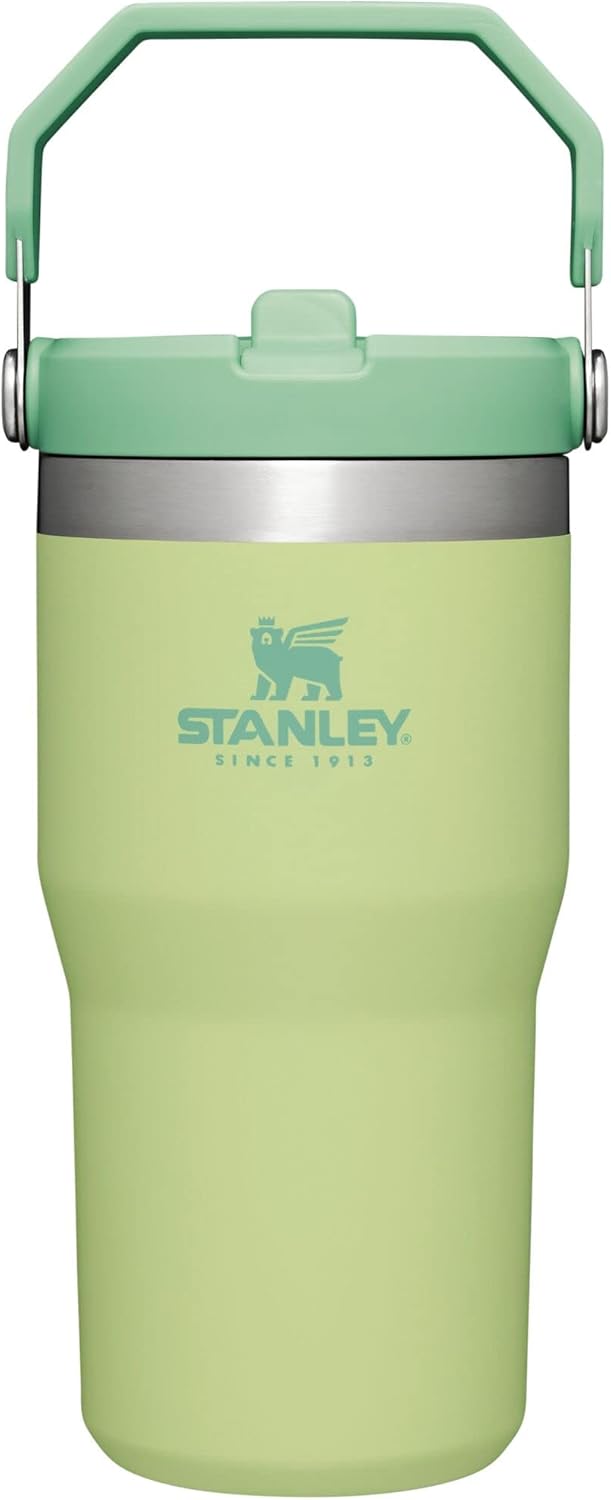 Stanley IceFlow Flip Straw Tumbler with Handle 20 oz | Twist On Lid and Flip Up Straw | Leak Resistant Water Bottle | Insulated Stainless Steel |BPA-Free | Citron
