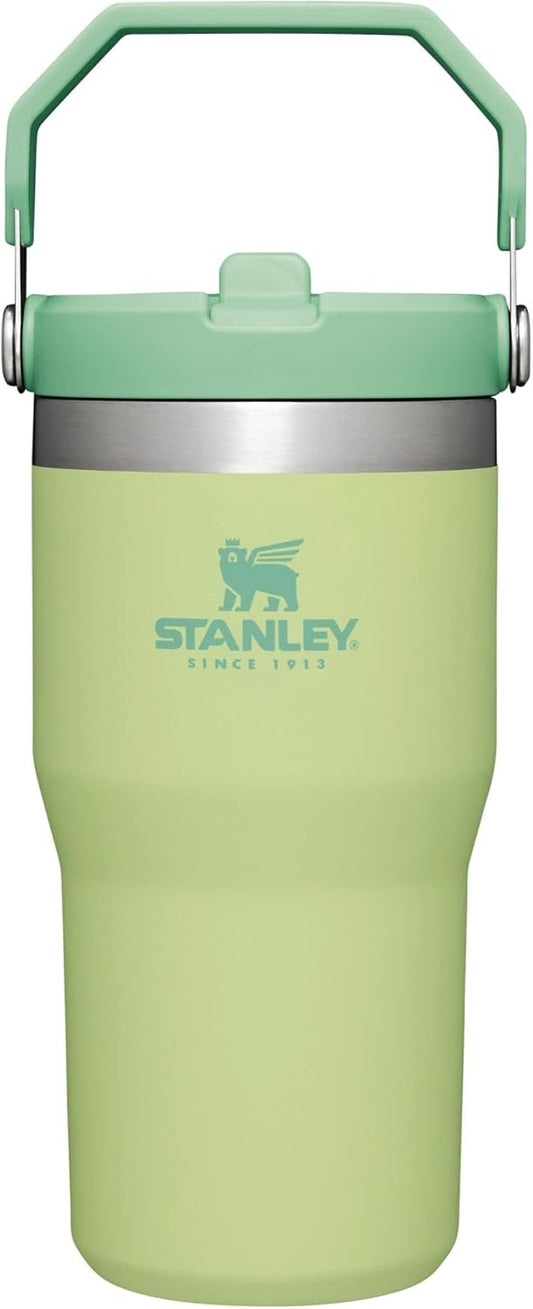 Stanley IceFlow Flip Straw Tumbler with Handle 20 oz | Twist On Lid and Flip Up Straw | Leak Resistant Water Bottle | Insulated Stainless Steel |BPA-Free | Citron