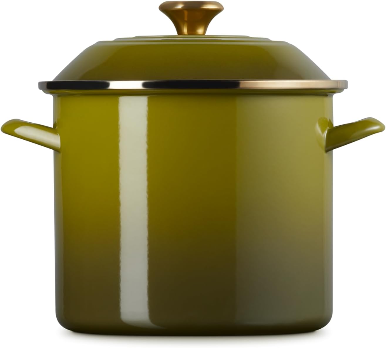 Le Creuset Enamel on Steel Stockpot, 10 qt., Olive