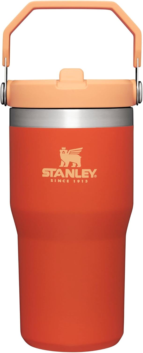 Stanley IceFlow Flip Straw Tumbler with Handle 20 oz | Twist On Lid and Flip Up Straw | Leak Resistant Water Bottle | Insulated Stainless Steel |BPA-Free | Tigerlily