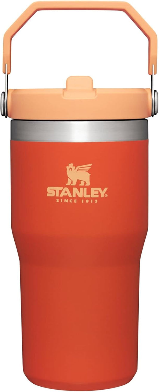 Stanley IceFlow Flip Straw Tumbler with Handle 20 oz | Twist On Lid and Flip Up Straw | Leak Resistant Water Bottle | Insulated Stainless Steel |BPA-Free | Tigerlily