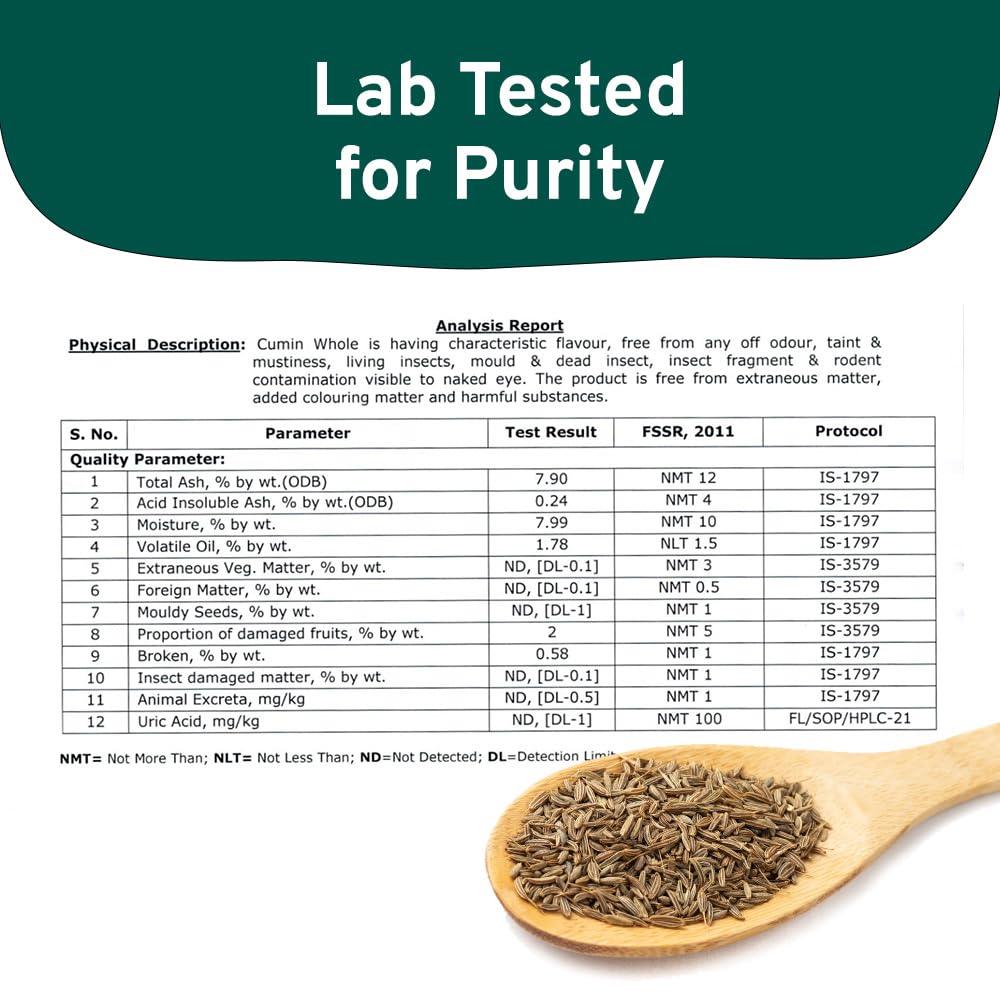 SPICE TRAIN Cumin Seeds (397g/14oz) Non GMO, Gluten Free, 100% Raw, Sourced from India, Excellent Flavor, Aromatic, For Tempering, Spice Blends and Seasonings, Packed in Resealable Ziplock Pouch