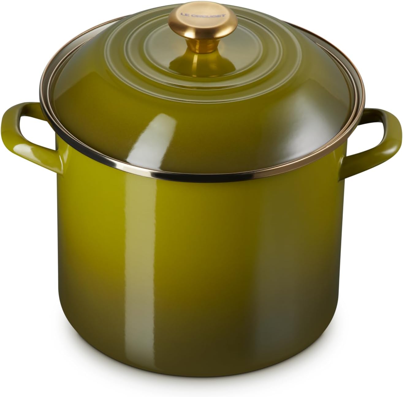 Le Creuset Enamel on Steel Stockpot, 10 qt., Olive