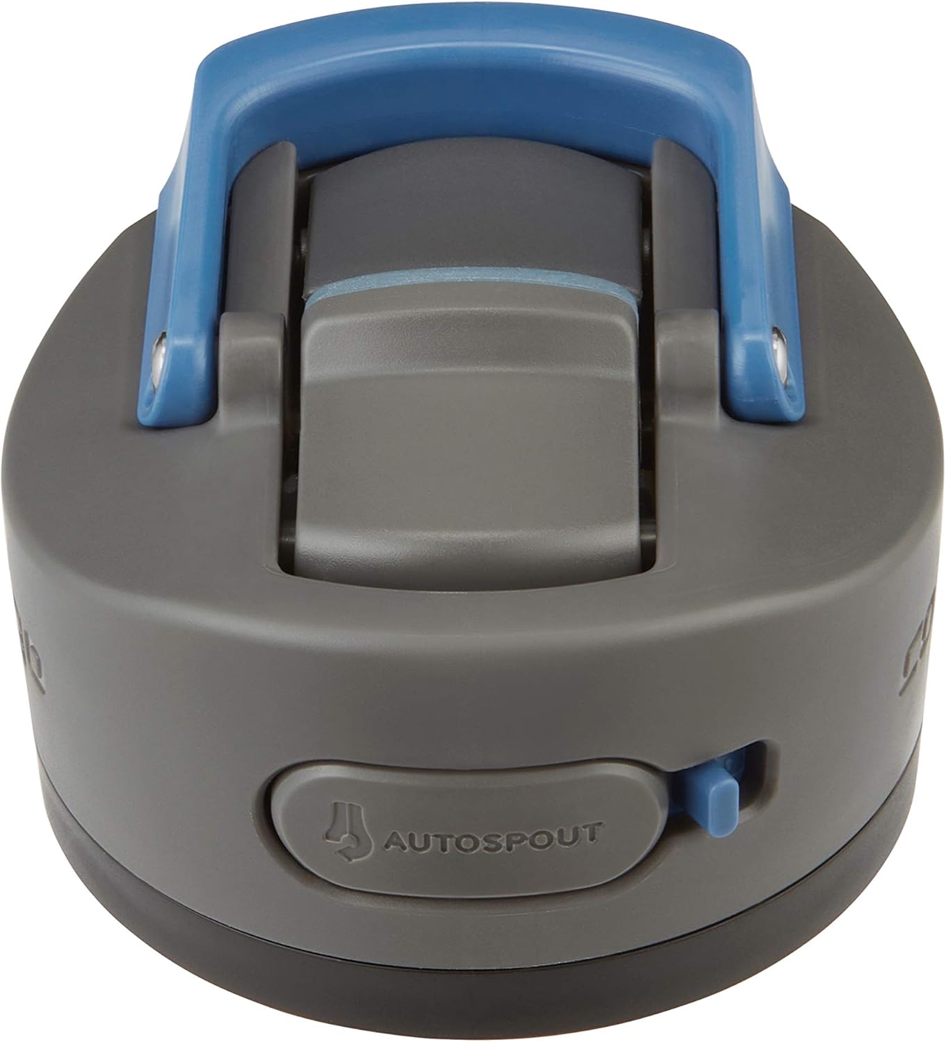 Contigo Ashland 2.0 Water Bottle with AUTOSPOUT Lid 24oz. Blue Corn