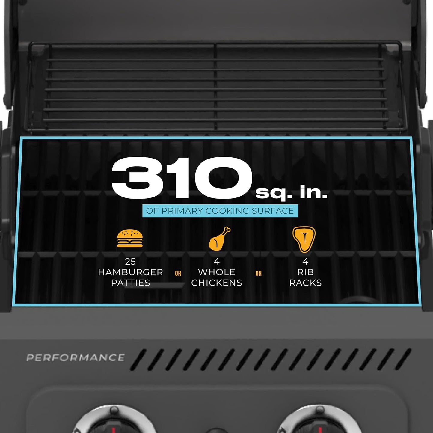 Charbroil Performance Series 2-Burner Gas Grill Cabinet, Stainless Steel - 463638125