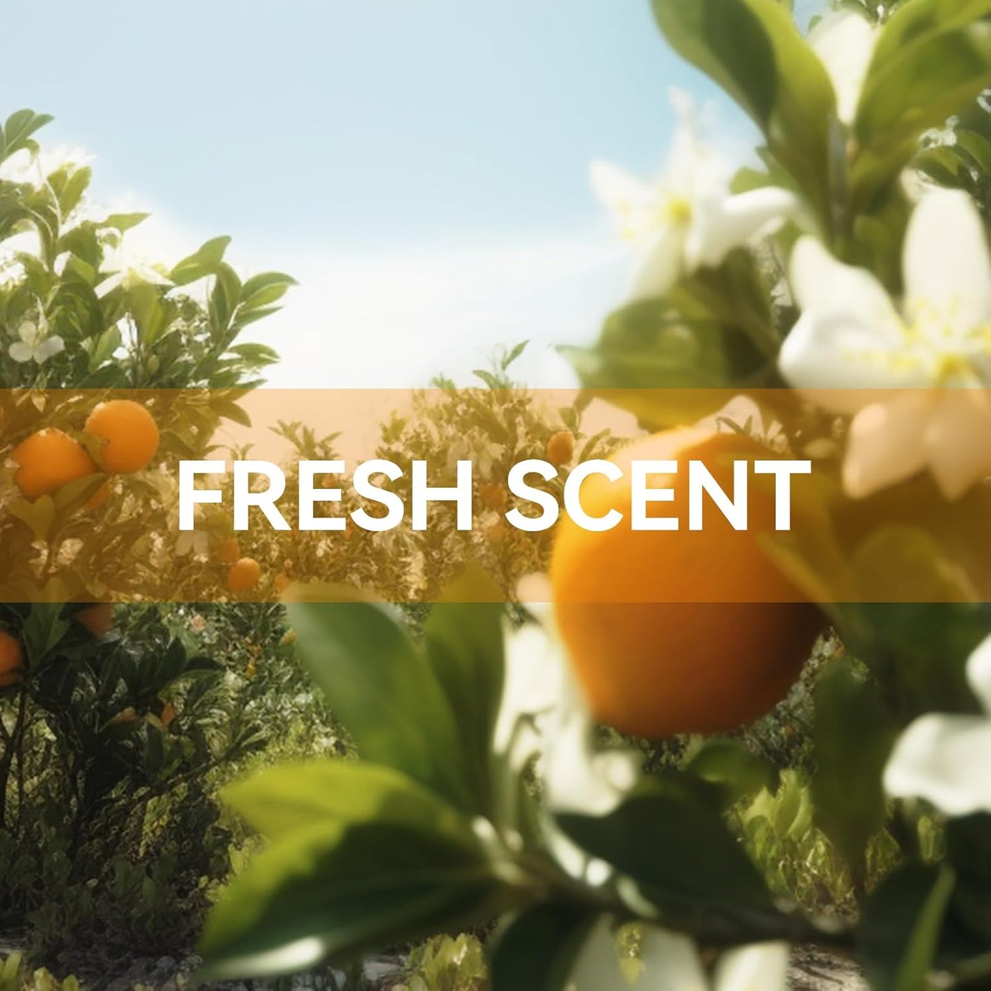 MYARO 12 Packs Orange Blossom Fall Scent Sachets for Drawer and Closet - Long Lasting Bathroom Odor Deodorizer Car Air Frehener for Home