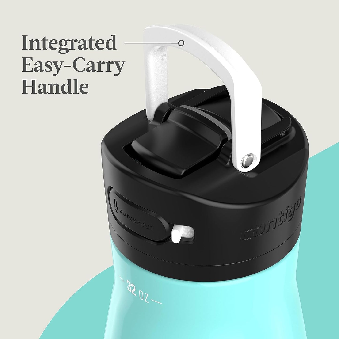 Contigo Ashland Beverage Water Bottles 32oz (Pack of 1) Jade Vine