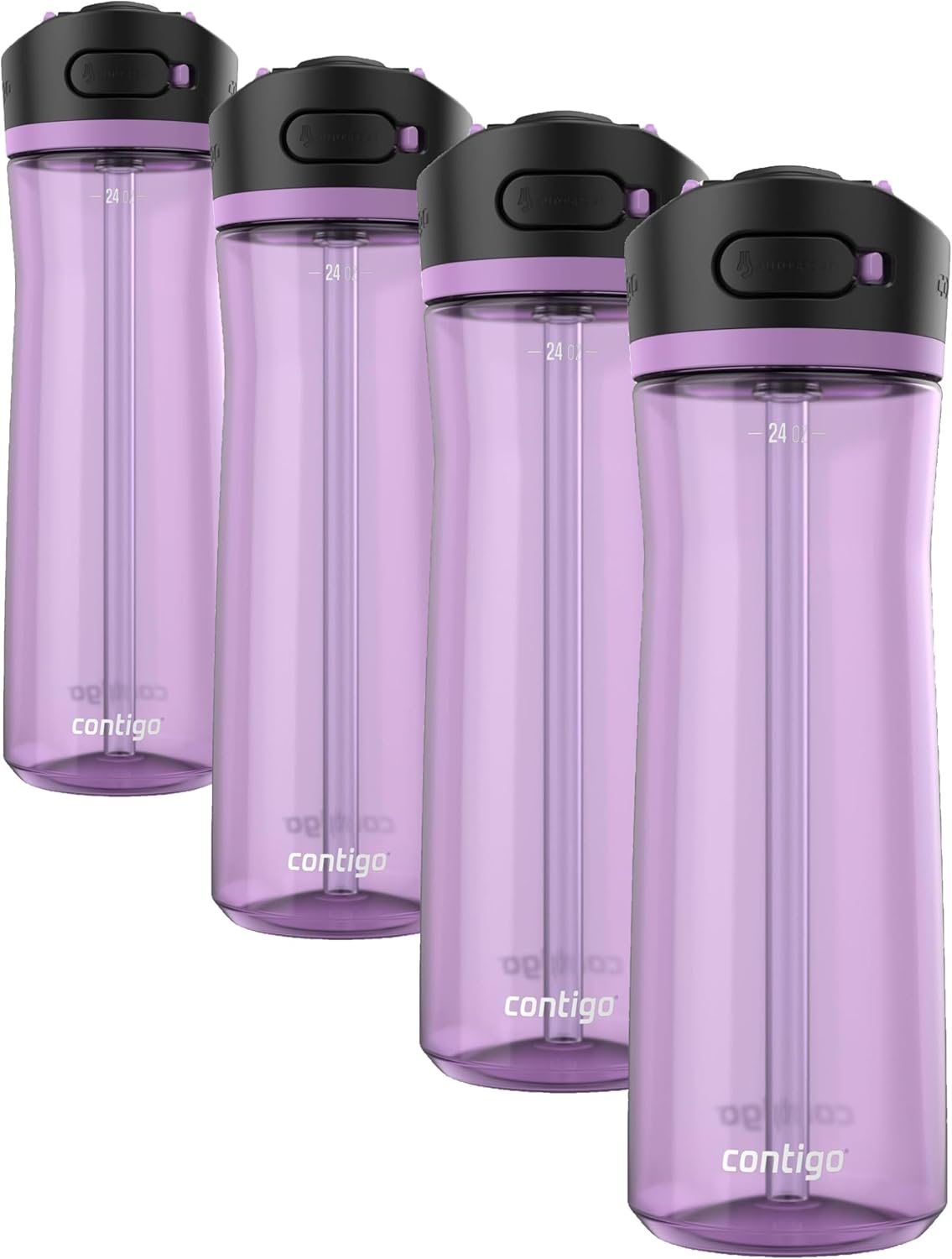 Contigo Ashland Water Bottle 24 oz Pansy (Pack of 4)