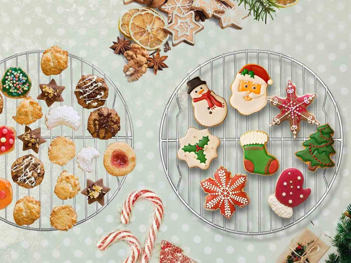 TeamFar Round Cooling Rack Set of 2, 9 Inch Round Baking Steaming Roasting Rack Set Stainless Steel, Healthy & Dishwasher Safe, Mirror Finish & Rust Free