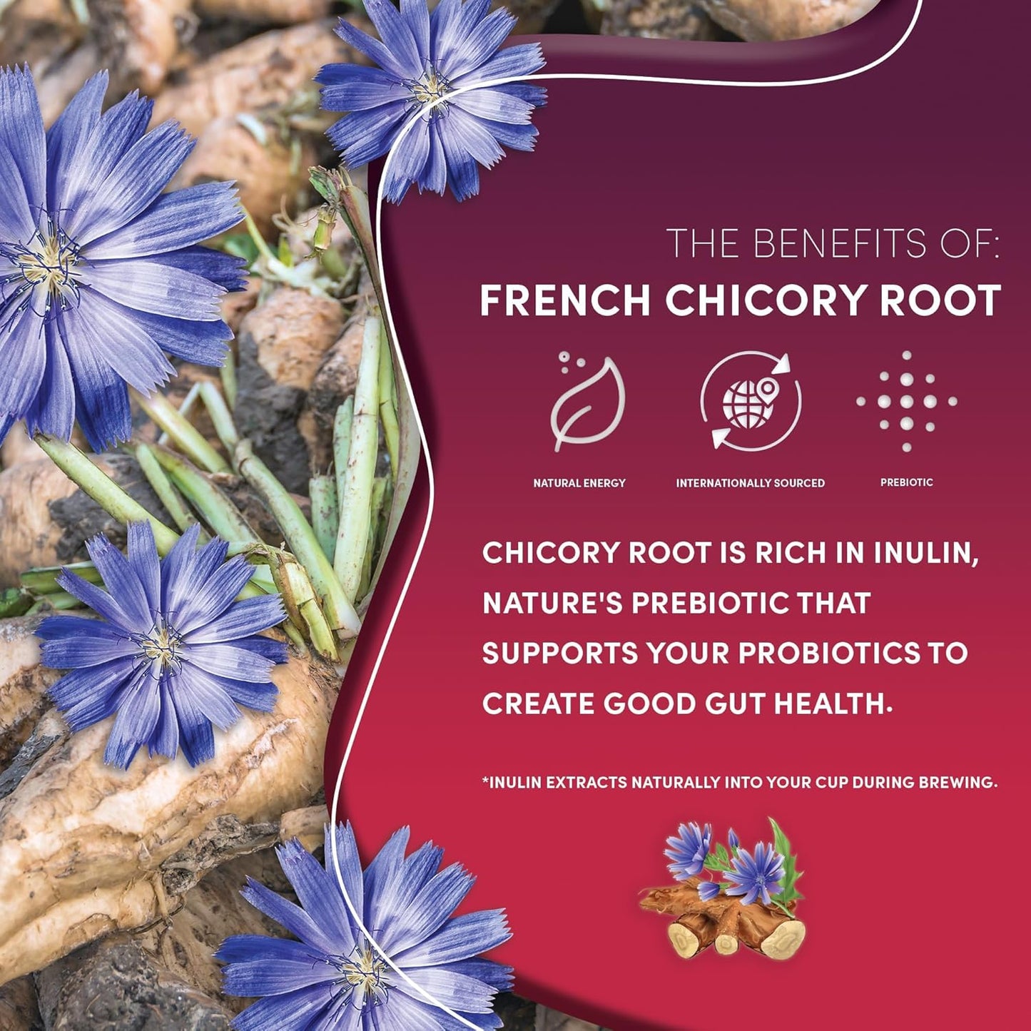 Teeccino Vanilla Nut Herbal Tea - Rich & Roasted Herbal Tea That’s Caffeine Free & Prebiotic for Natural Energy, 25 Tea Bags (Pack of 3)