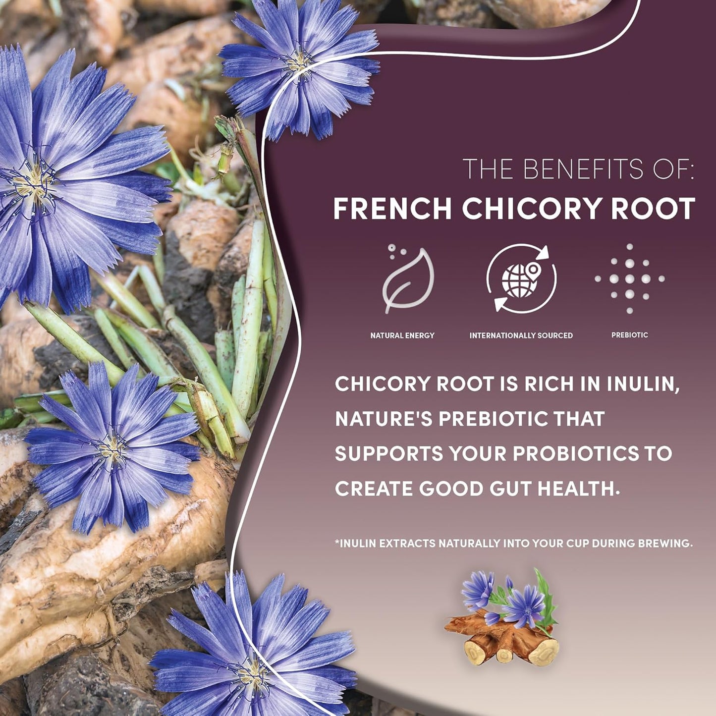 Teeccino Maple Pecan Herbal Tea - Rich & Roasted Herbal Tea That’s Caffeine Free & Prebiotic for Natural Energy, Coffee Alternative, 25 Count