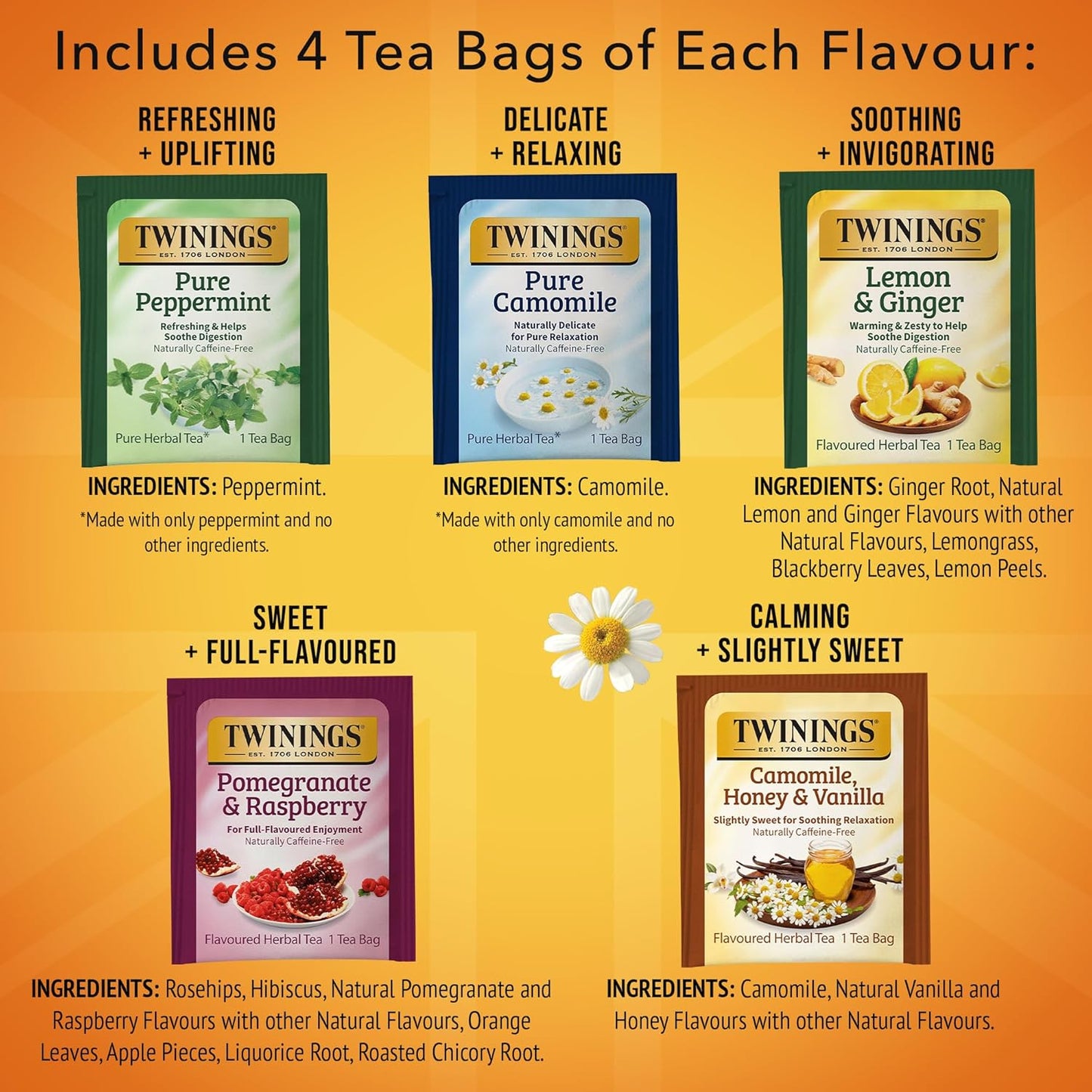 Twinings Herbal Tea Variety Pack, 20 Count (Pack of 2), Formerly Assorted Herbal, Includes 5 Flavours, Naturally Caffeine-Free, Enjoy Hot or Iced, 20 Teabags