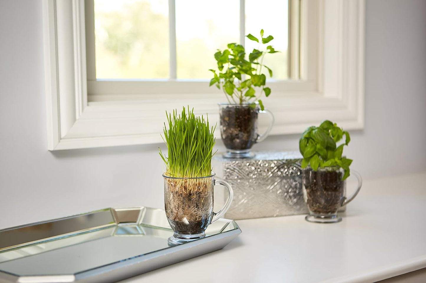 Anchor Hocking Café Glass Coffee Mugs, 16 oz, Set of 6