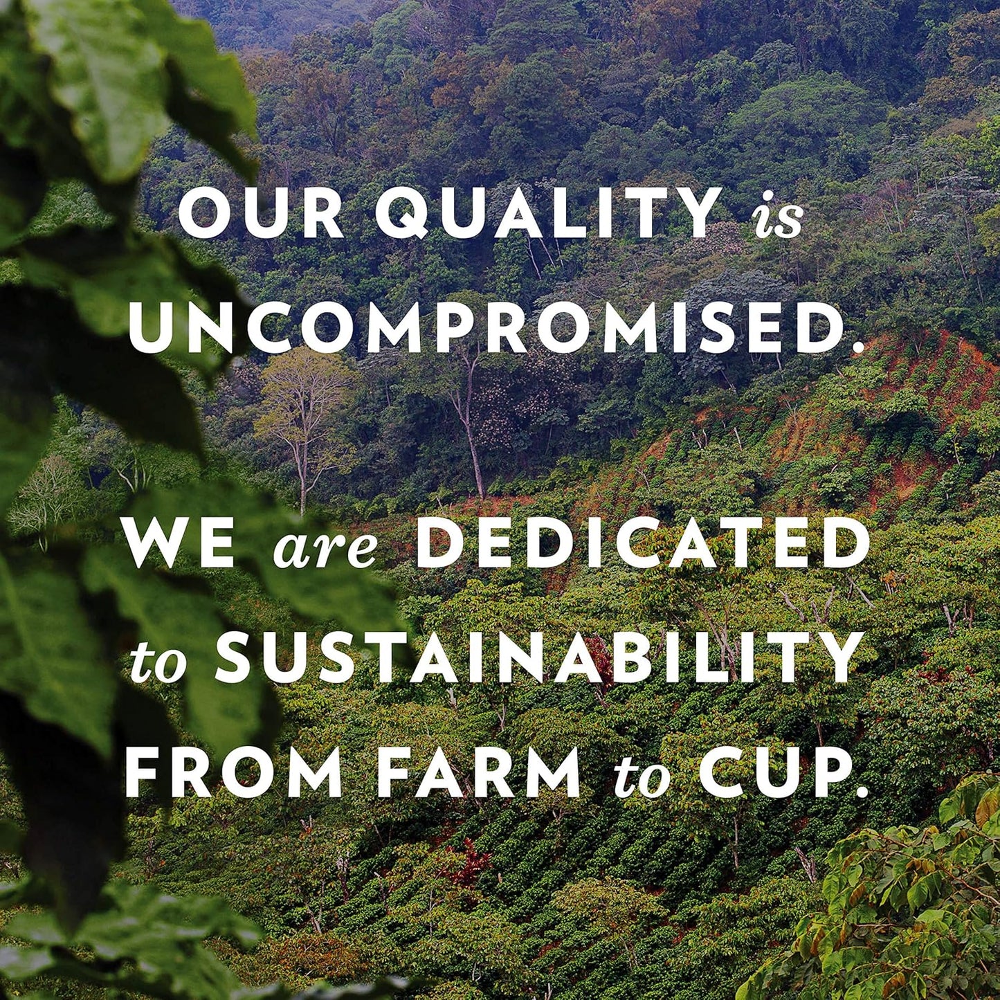 Community Coffee All Day Variety Pack with Decaf 36 Count Coffee Pods, Medium Dark Roast, Compatible with Keurig 2.0 K-Cup Brewers, 12 Count (Pack of 3)